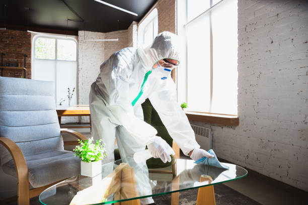 Professional Mold Removal & Remediation in Huntington Bay, NY