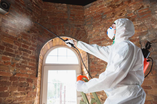 Mold Remediation for Vacation Homes in Huntington Bay, NY